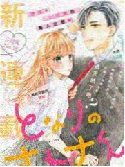 国产综艺更新